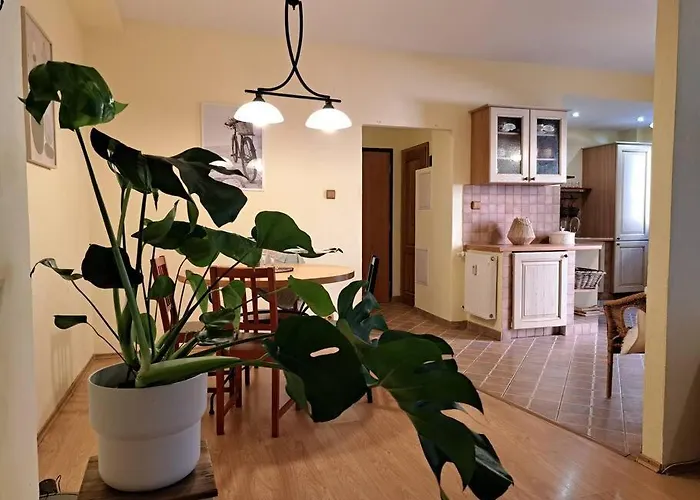 Home In The Heart Of The City